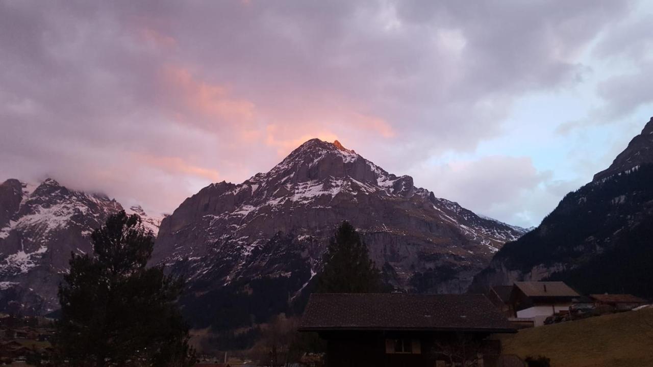Chalet Waergistal Grindelwald Kültér fotó