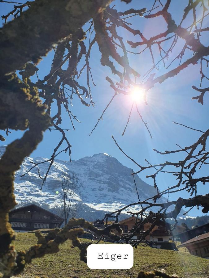 Chalet Waergistal Grindelwald Kültér fotó