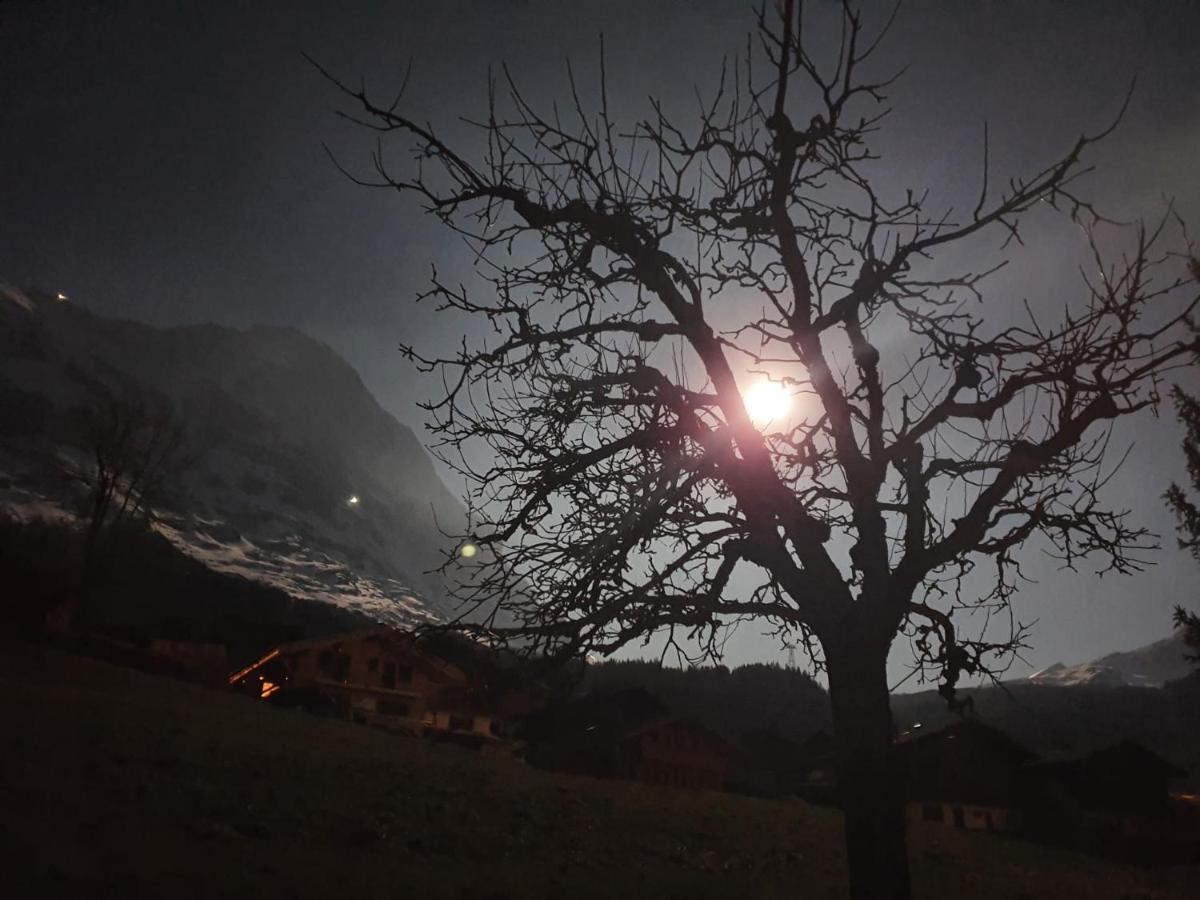 Chalet Waergistal Grindelwald Kültér fotó