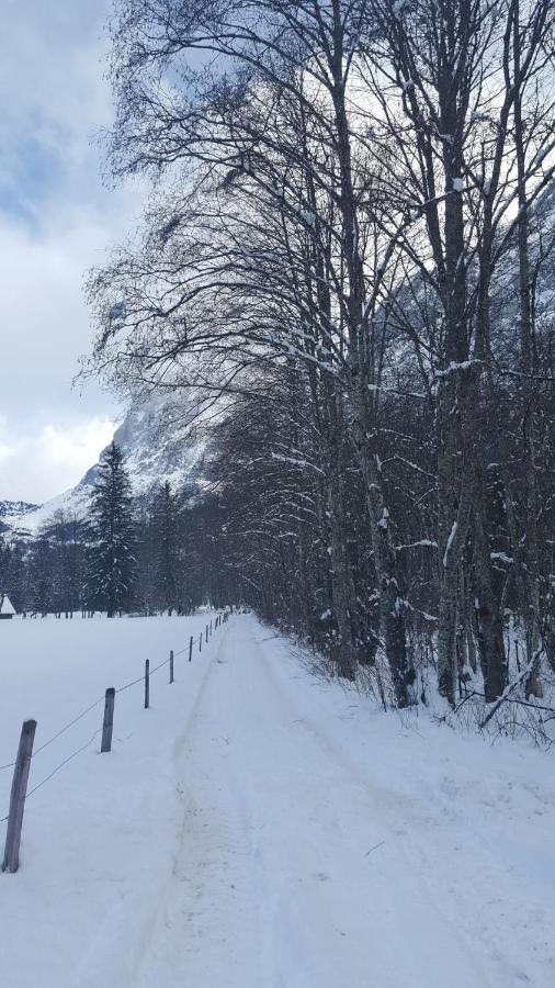 Chalet Waergistal Grindelwald Kültér fotó
