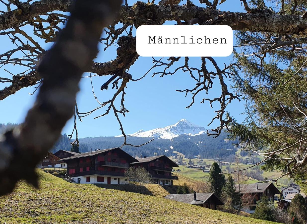 Chalet Waergistal Grindelwald Kültér fotó